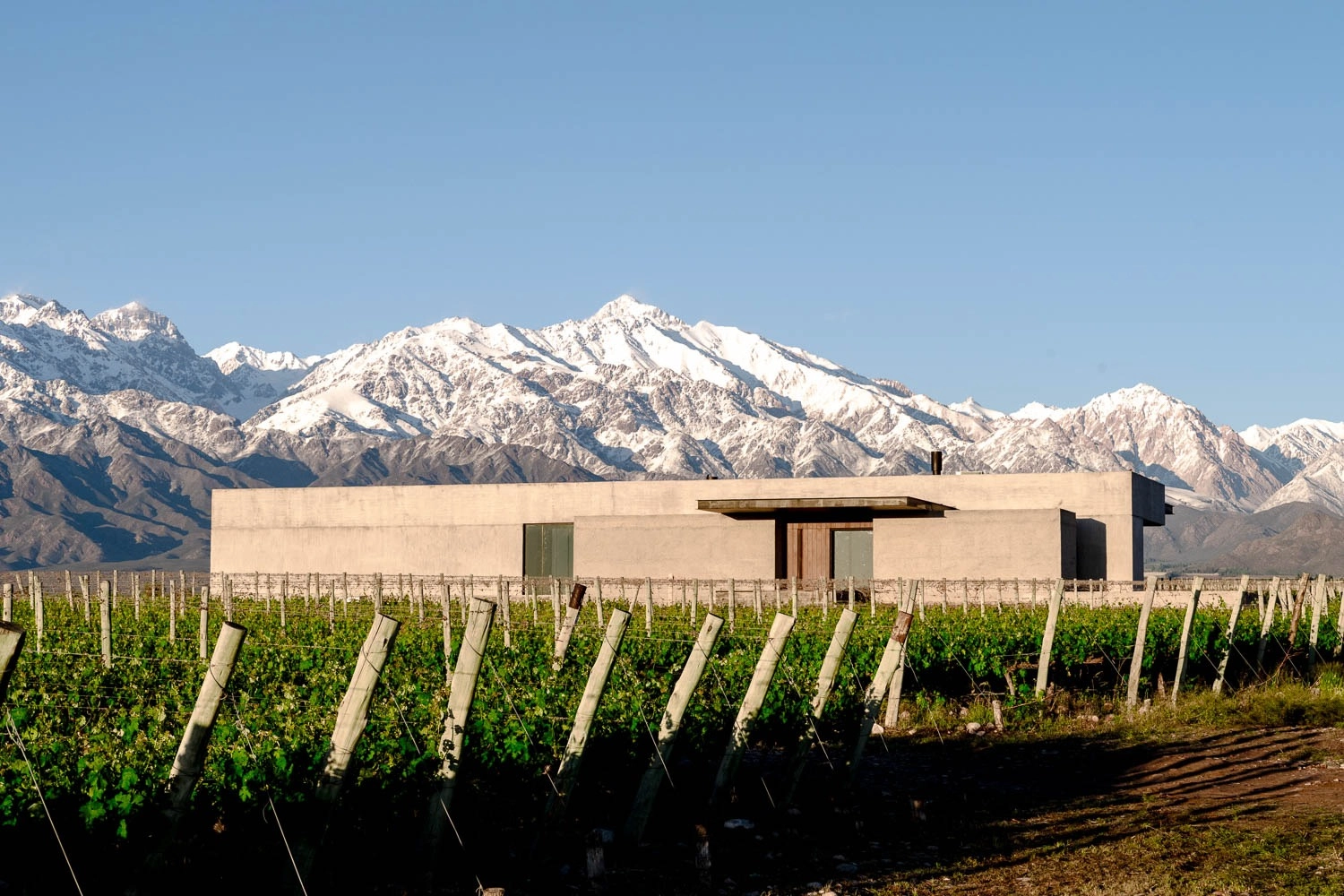 The Vines Resort and Spa