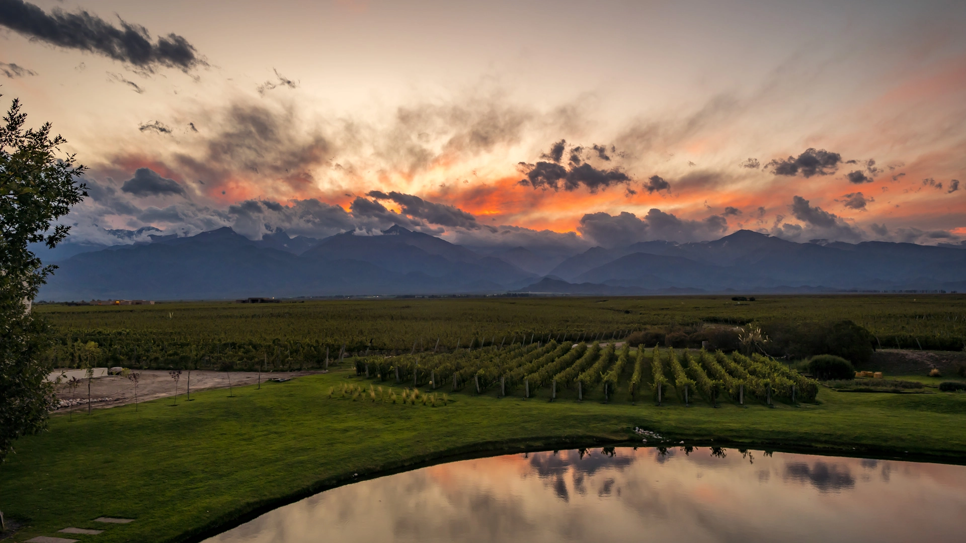 The Vines Resort and Spa