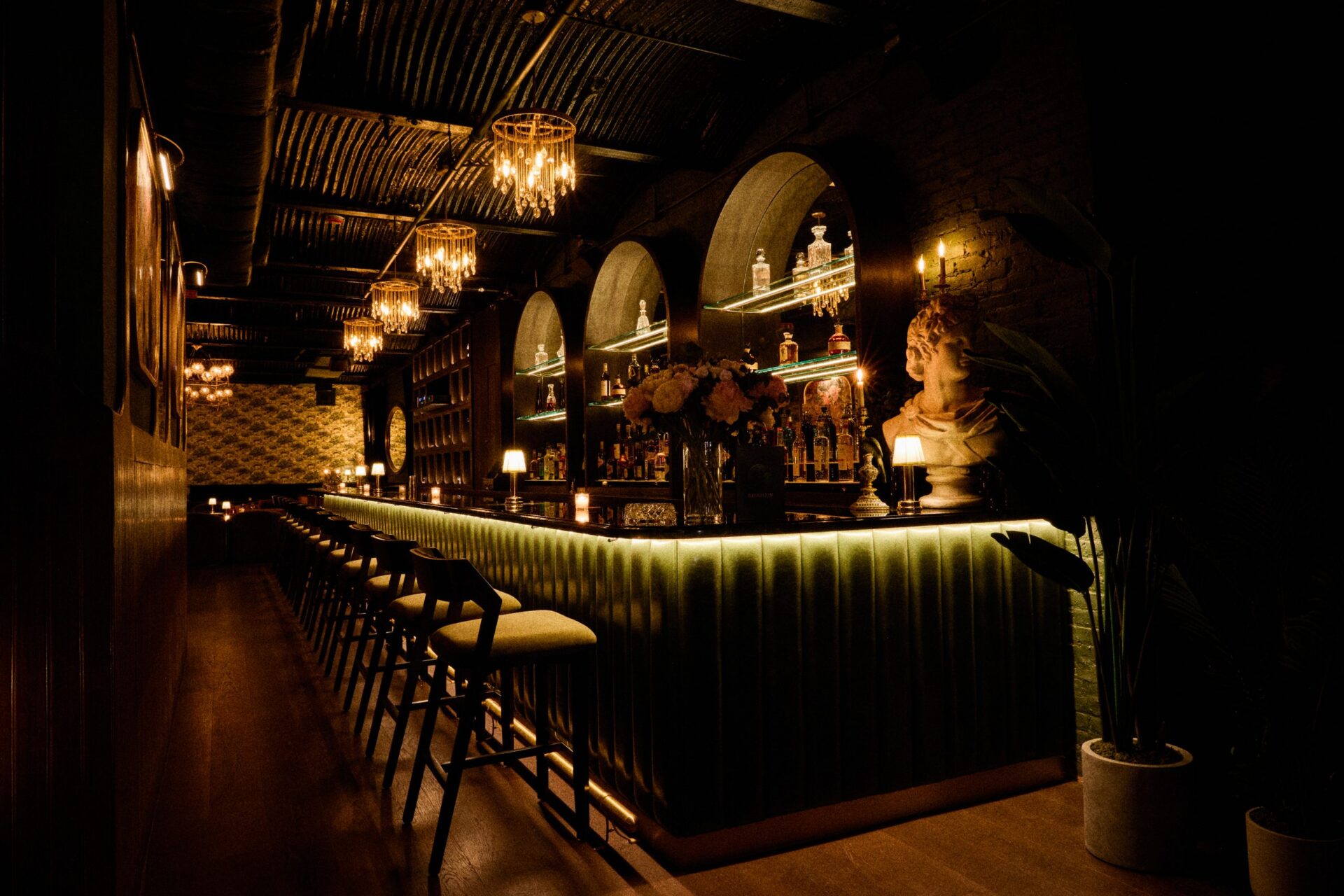 Dandelion_ Dandelion Bar